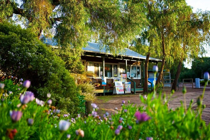 Imagen general del Hotel Gracetown Caravan Park. Foto 1