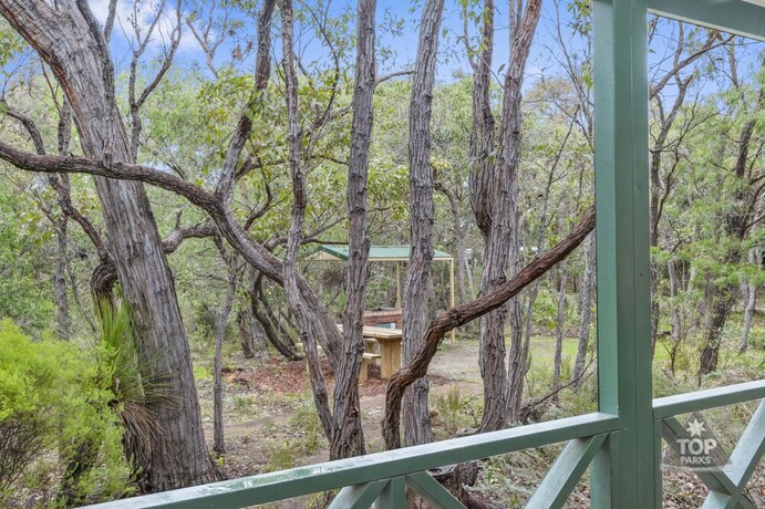 Imagen de la habitación del Hotel Gracetown Caravan Park. Foto 16