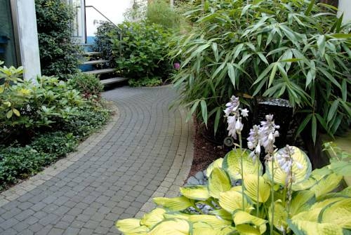 Imagen general del Hotel Graf. Foto 4