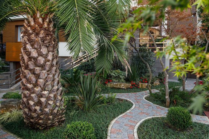Imagen de los exteriores del Hotel Grafit, Sochi. Foto 18