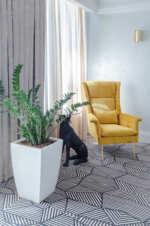 Imagen de los interiores del Hotel Grafskiy Park. Foto 17