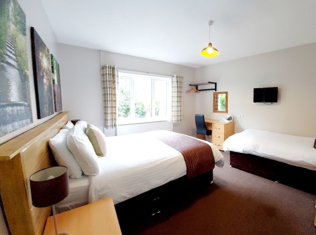 Imagen de la habitación del Hotel Grains Bar. Foto 8