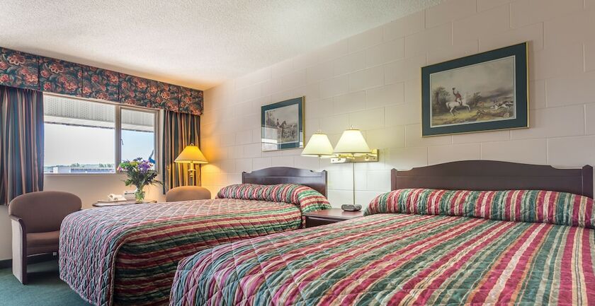 Imagen de la habitación del Hotel Grama's Inn. Foto 18
