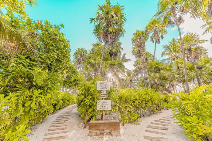 Imagen de los exteriores del Hotel Gramercy Tulum. Foto 8