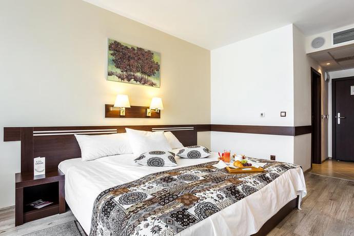 Imagen de la habitación del Hotel Grami Sofia. Foto 2