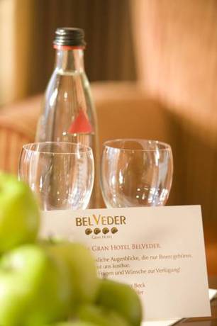 Imagen de la habitación del Hotel Gran Belveder. Foto 10