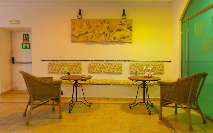 Imagen de los interiores del Hotel Gran Benahavis Spa. Foto 14