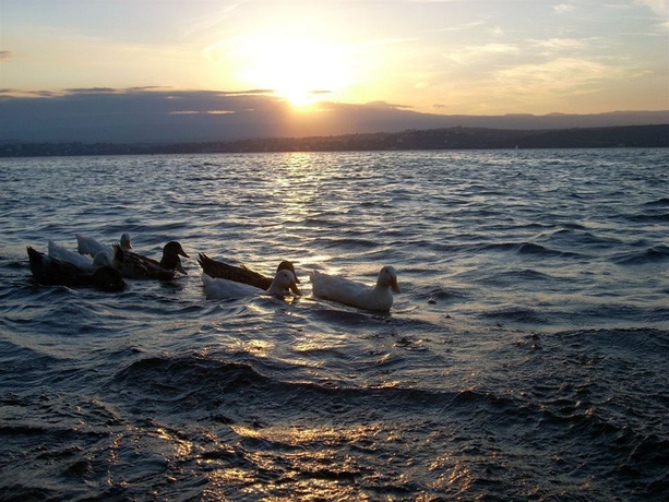 Imagen de los exteriores del Hotel Gran Casablanca. Foto 2