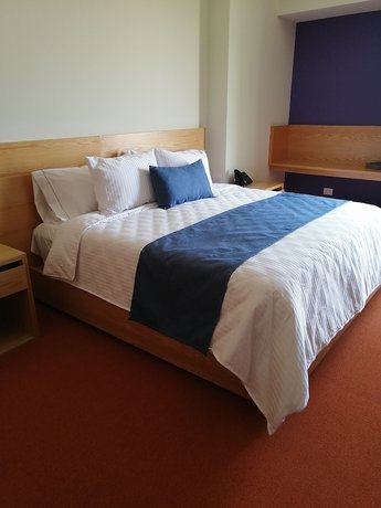Imagen de la habitación del Hotel Gran Concordia Irapuato. Foto 8