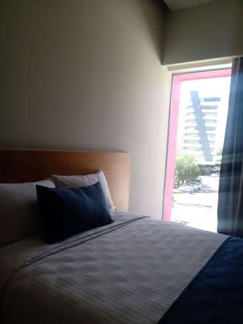 Imagen de la habitación del Hotel Gran Concordia Irapuato. Foto 12