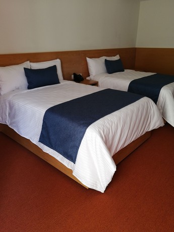 Imagen de la habitación del Hotel Gran Concordia Irapuato. Foto 13