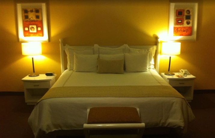 Imagen de la habitación del Hotel Gran De Querétaro. Foto 7