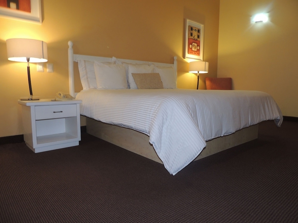 Imagen de la habitación del Hotel Gran De Querétaro. Foto 8