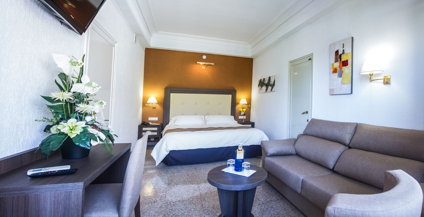 Imagen de la habitación del Hotel Gran Delfin. Foto 4