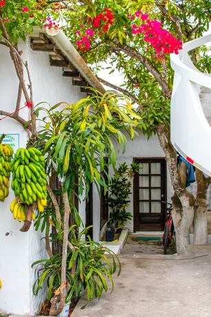 Imagen de la habitación del Hotel Gran Hostal Tintorera. Foto 17
