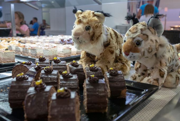 Imagen general del Hotel Gran Hotel del Coto. Foto 8