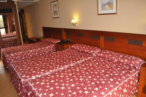 Imagen de la habitación del Hotel Gran Liber & Spa. Foto 13