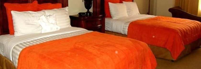 Imagen de la habitación del Hotel Gran Mediterraneo. Foto 12