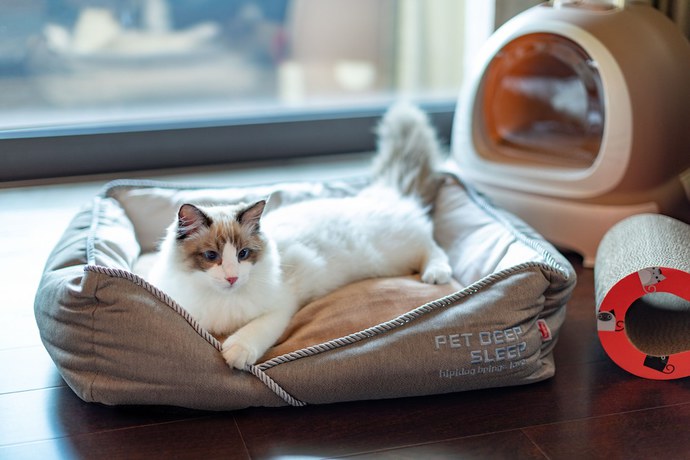 Imagen de la habitación del Hotel Gran Melia Chengdu. Foto 16