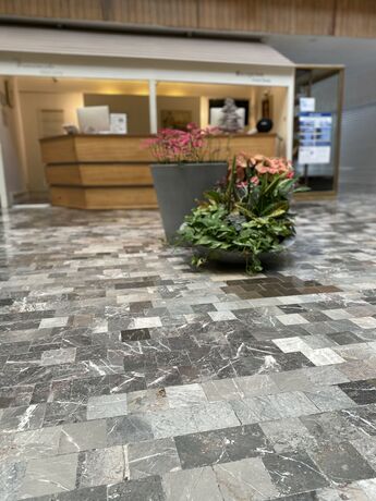 Imagen general del Hotel Gran Plaza Centro Historico. Foto 15