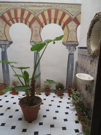 Imagen de los exteriores del Hotel Gran Plaza, Córdoba. Foto 10