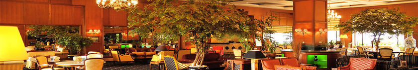 Imagen del bar/restaurante del Hotel Gran Senyiur. Foto 6