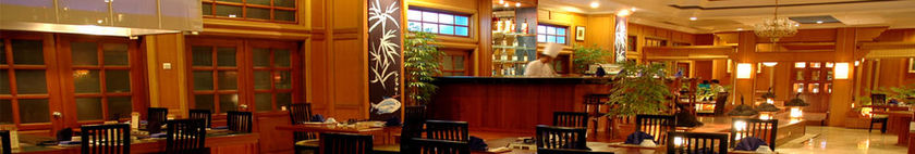 Imagen del bar/restaurante del Hotel Gran Senyiur. Foto 8