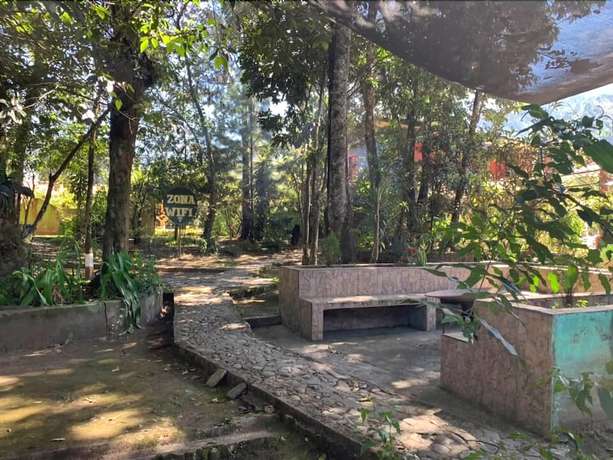 Imagen general del Hotel Gran Shalom II. Foto 5