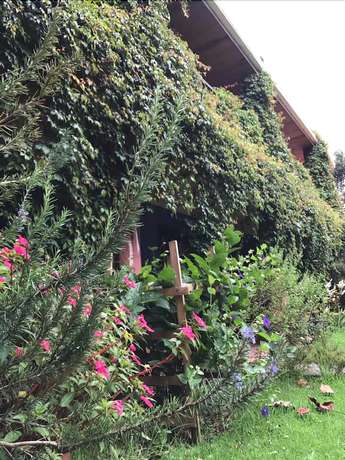 Imagen de los exteriores del Hotel Gran Shalom II. Foto 14