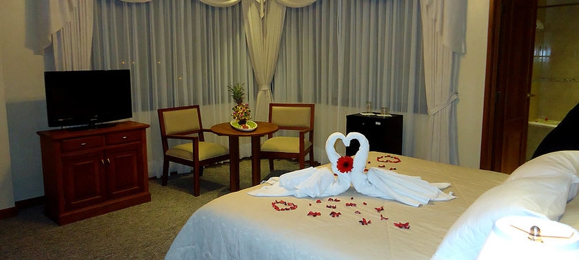 Imagen de la habitación del Hotel Gran Toloma. Foto 4