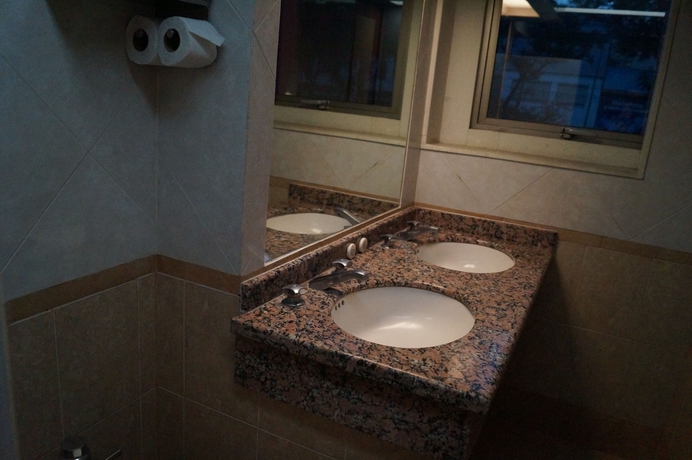 Imagen de la habitación del Hotel Gran Villa De Madrid. Foto 13