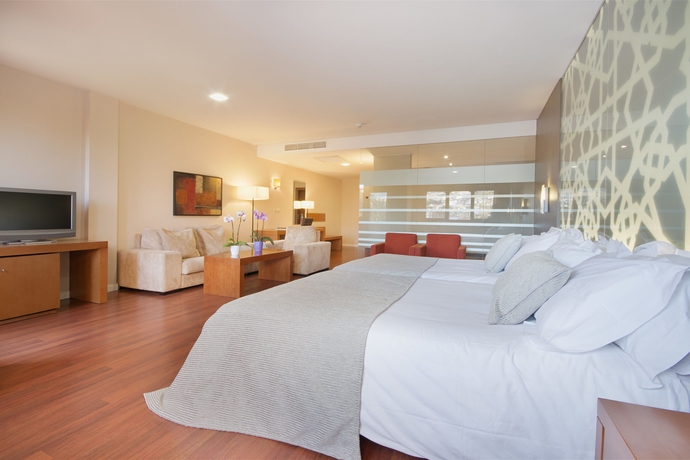 Imagen de la habitación del Hotel Granada Palace. Foto 2