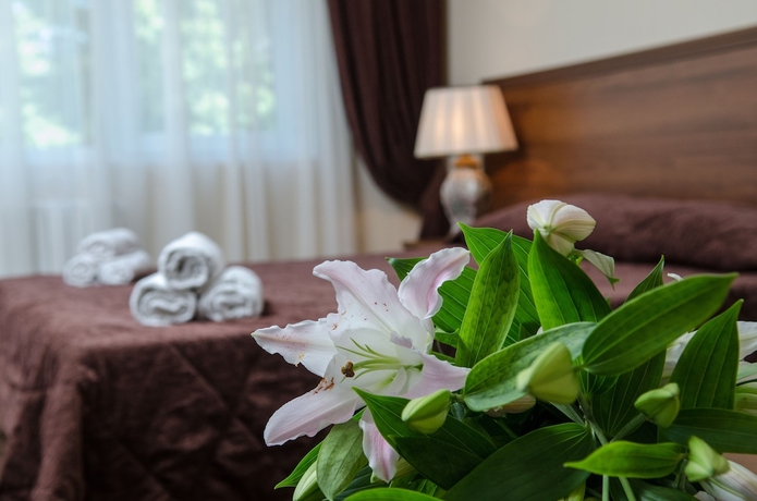Imagen de la habitación del Hotel Granat, Adler. Foto 7
