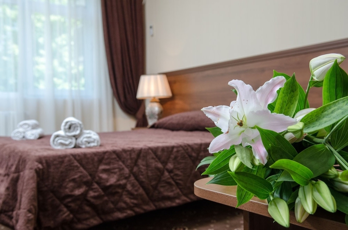 Imagen de la habitación del Hotel Granat, Adler. Foto 9