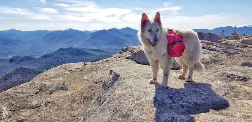 Imagen general del Hotel Grand Adirondack, Lake Placid, A Tribute Portfolio. Foto 6
