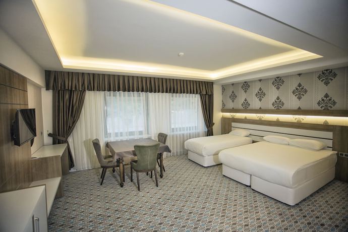 Imagen de la habitación del Hotel Grand Alin Tokat. Foto 6
