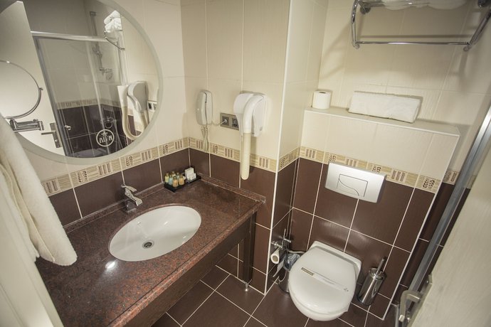 Imagen de la habitación del Hotel Grand Alin Tokat. Foto 7