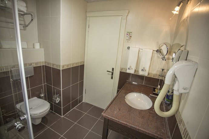 Imagen de la habitación del Hotel Grand Alin Tokat. Foto 8