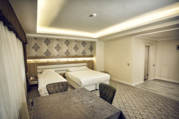 Imagen de la habitación del Hotel Grand Alin Tokat. Foto 10