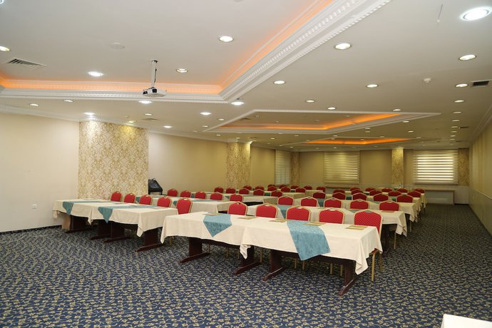 Imagen de los interiores del Hotel Grand Alin Tokat. Foto 19