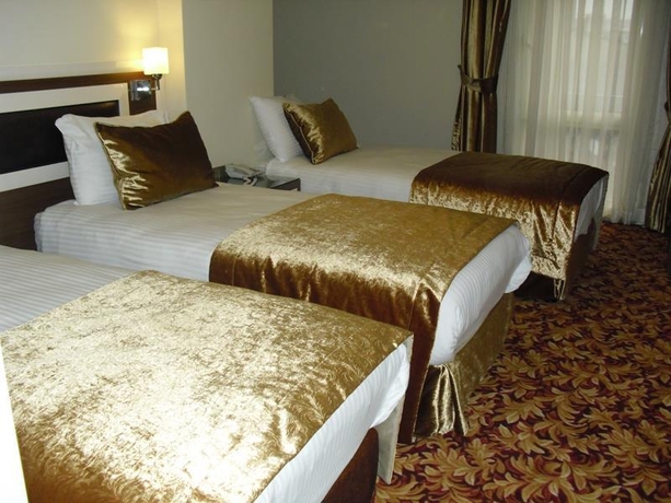 Imagen general del Hotel Grand Anatolia. Foto 8