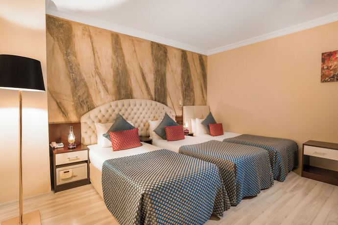 Imagen de la habitación del Hotel Grand Ani. Foto 3