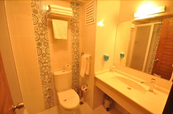 Imagen de la habitación del Hotel Grand Anzac. Foto 14