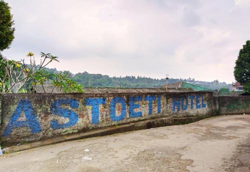 Imagen general del Hotel Grand Astoeti. Foto 3