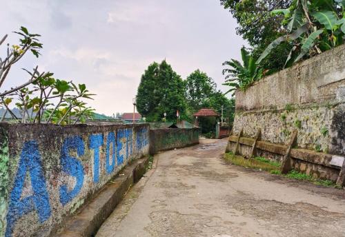 Imagen general del Hotel Grand Astoeti. Foto 10