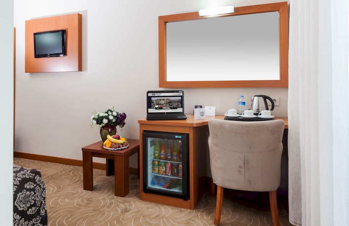 Imagen de la habitación del Hotel Grand Avcilar. Foto 15