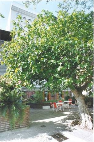 Imagen general del Hotel Grand Balbi. Foto 12