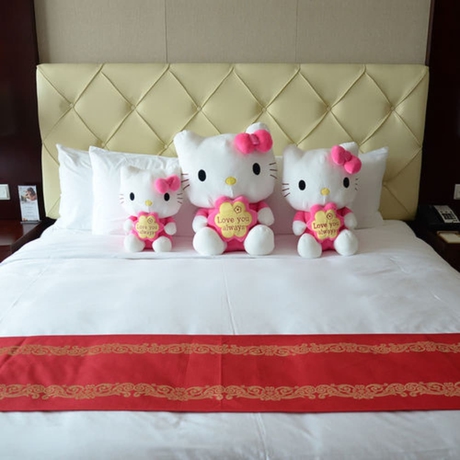 Imagen de la habitación del Hotel Grand Barony Xi'an. Foto 14