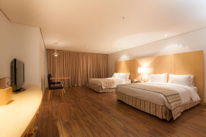 Imagen de la habitación del Hotel Grand Bittar. Foto 13