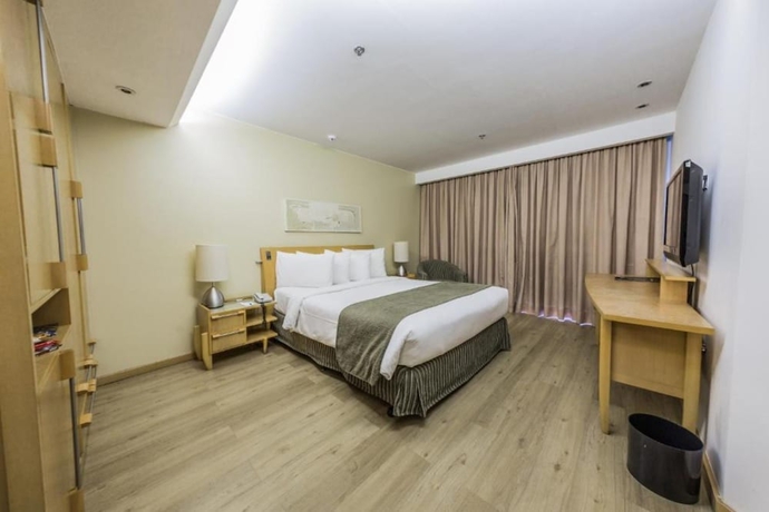 Imagen de la habitación del Hotel Grand Bittar. Foto 15